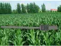 植物冠层分析仪