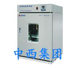 电热恒温培养箱/微生物培养箱