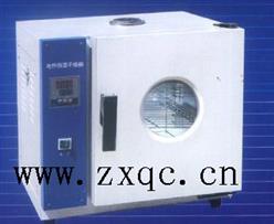 电热恒温干燥箱