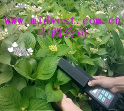 活体叶面积测量仪