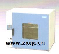 电热恒温鼓风干燥箱