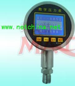 精密数字压力表(0.1）
