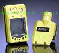 多气体便携式检测仪