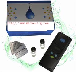 总氯/余氯比色计