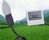 叶面湿度记录仪
