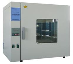 电热恒温鼓风干燥箱