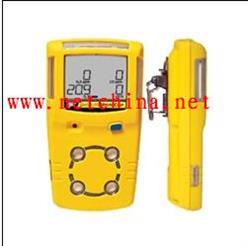 油气检测仪加拿大BW