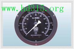 双波纹管差压液位计