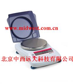 便携式电子天平