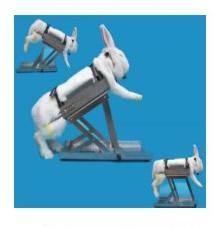 多功能兔固定架