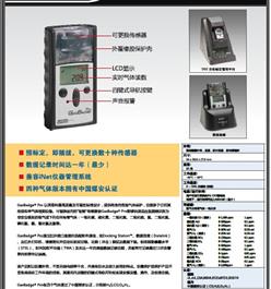 便携式氧气检测仪
