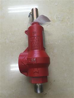 泰勒TAYLOR弹簧式安全阀（3959psi）
