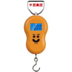 手提电子秤