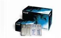 Quanti-Tray/2000 97孔定量盘