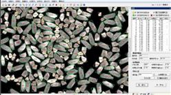 大米外观品质检测仪