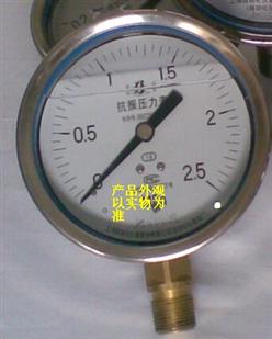 不锈钢耐振压力表