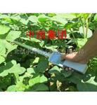 植物冠层分析仪 型号:LB06-TOP-1000