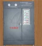 电蒸汽锅炉 型号:HZ23-LDR0.5-0.8