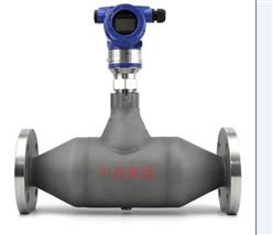 管道式密度计/卫生型音叉密度计