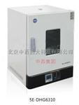 电热恒温鼓风干燥箱 型号:CK09-5E-DHG6310