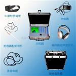 高管道漏水探测定位仪 型号:PL09-PLH-42库