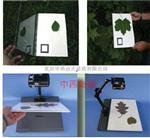 WinFOLIA 多用途叶面积仪 基础版 型号:STD4800 