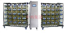 大鼠独立通气笼IVC