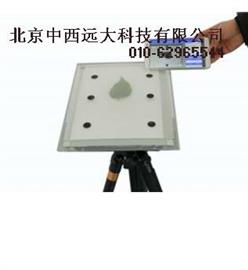 活体叶面积测定仪/激光叶面积仪/叶面积扫描仪