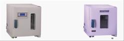电热恒温干燥箱
