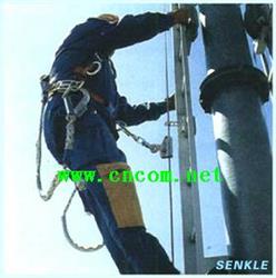 直梯攀升保护器 德国 45米