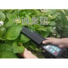 活体叶面积测定仪