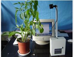 植物生长图像监测仪 型号:YK01-ECA-JC02