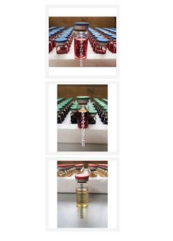 现货-硫酸盐还原菌细菌测试瓶SRB/腐生菌细菌测试瓶TGB/铁细菌测试瓶FEB 型号:ZW01-M302524