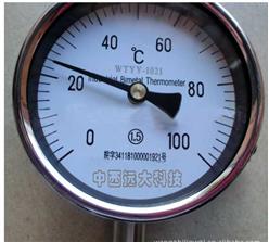 压力温度计 型号:AC20-WTYY-1221