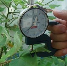 叶片厚度计 型号:SJN-YH-1 库号：M403682