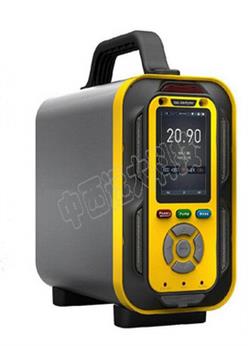 气体检测仪(一氧化碳、二氧化硫)/二氧化硫浓度分析仪 型号:VXV100-SO2 库号：M404730