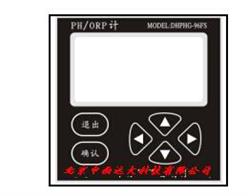 工业在线PH计 型号:DH21-DHPHG-96FS