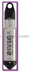 水位监测 型号:YG1-TD-DIver-DI810