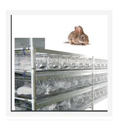 不锈钢双面水冲式兔笼 型号:JV222-RB44-30  库号：M29584