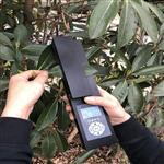 活体叶面积测定仪M405662