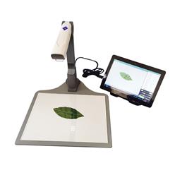 叶片形态测量仪型号:M348469库号：M348469