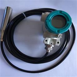 入式液位变送器 型号:LX11/M382428库号：M382428