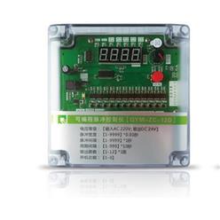 可编程脉冲控制仪 型号:QYM-ZC-12D库号：D385721