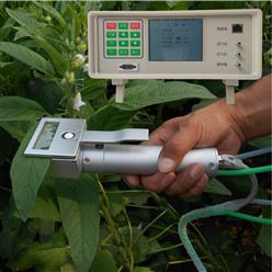 植物光合测定仪  型号:D96545 库号：D96545