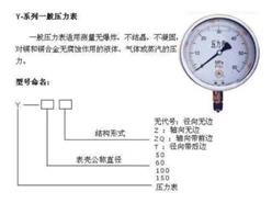 指针式压力表Y型 型号:Y100 库号：D259499