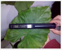 叶面积分析仪 型号:ECA-YM10 库号：D254817