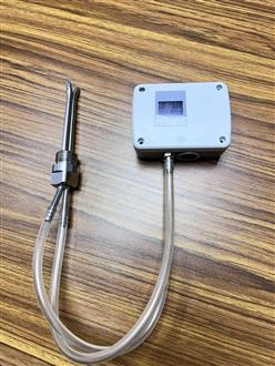在线风速传感器 型号:D253980 库号：D253980