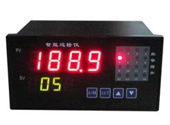 智能温度巡检仪 型号:XMDA-16/220V(AC) 库号：D385922
