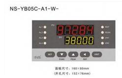 测量显示控制仪 型号:NS-YB05C-A1-W-1-0-0-K 库号：D83209