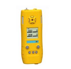 泵吸式多参数气体测定器 型号:ZA03-CD4/B 库号：D404853